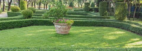 Amazing Landscaping Services